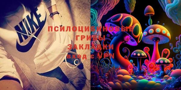 молекула духа Чекалин